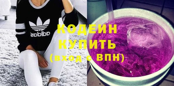 индика Алзамай