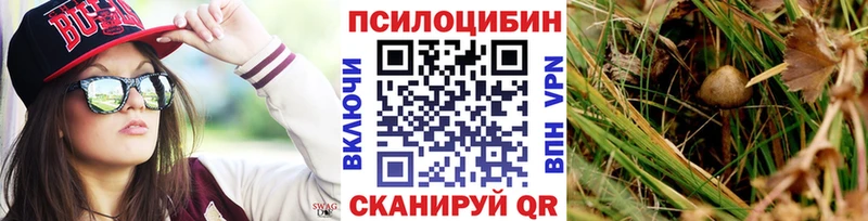 Псилоцибиновые грибы Cubensis Аргун