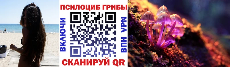Псилоцибиновые грибы MAGIC MUSHROOMS маркетплейс формула Аргун